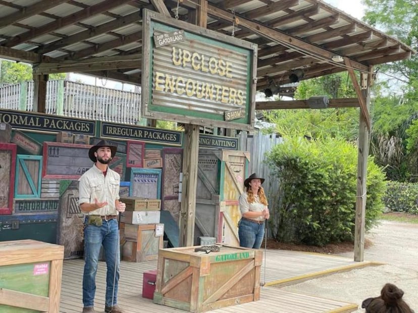 De alimentar cocodrilos a tirolesas "infinitas": la aventura en Gatorland Orlando