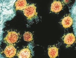 Israel detecta casos de variante "desconocida" de Covid-19