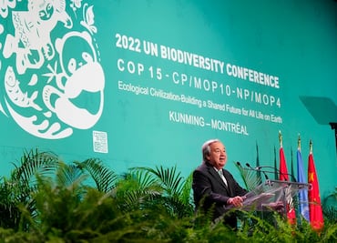 "La humanidad se ha convertido en un arma de extinción masiva": ONU