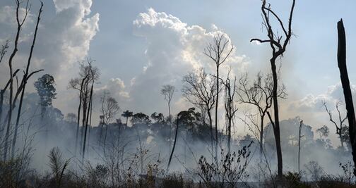 ¿Por qué urge frenar los incendios del Amazonas?