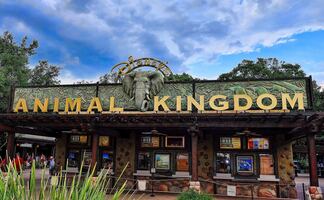 Solicitan biólogos para trabajar con aves en parque de Disney World