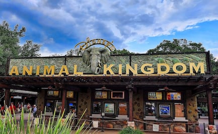 Solicitan biólogos para trabajar con aves en parque de Disney World