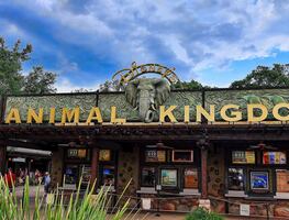 Solicitan biólogos para trabajar con aves en parque de Disney World