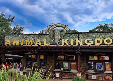 Solicitan biólogos para trabajar con aves en parque de Disney World