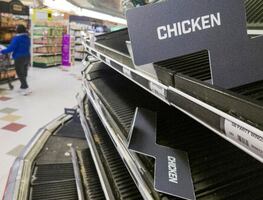 ¿Por qué hay estantes vacíos en los supermercados en EU?