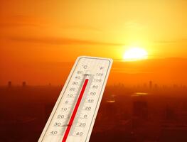 Ola de calor en Estados Unidos. 75 millones de afectados por temperaturas de hasta 40.5°C