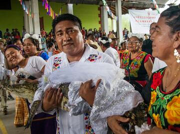 Por tradición indígena, alcalde mexicano se casa con un caimán. Esta es su historia