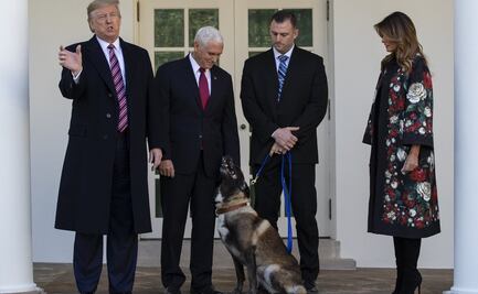 Trump presenta a Conan, el perro herido en la redada en que murió Bagdadi
