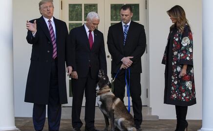 Trump presenta a Conan, el perro herido en la redada en que murió Bagdadi
