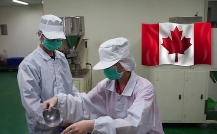 Canadá busca obreros mexicanos para trabajar en empacadora de carne