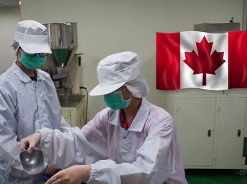 Canadá busca obreros mexicanos para trabajar en empacadora de carne