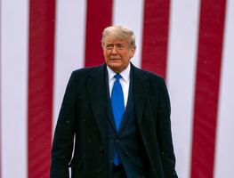 Sistema de Colegio Electoral favorece levemente a Trump, según estudio