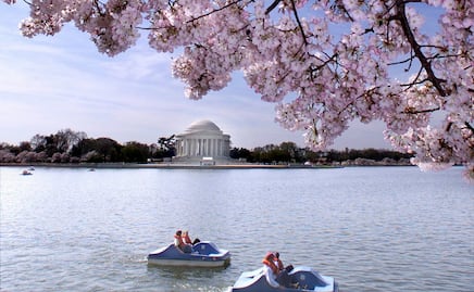 Las 7 mejores atracciones turísticas en Washington D.C. 