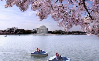 Las 7 mejores atracciones turísticas en Washington D.C.