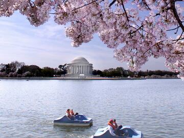Las 7 mejores atracciones turísticas en Washington D.C.