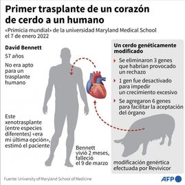 Muere paciente que recibió un trasplante de corazón de cerdo