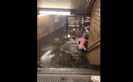 Video. Se inunda el metro de Nueva York; usuarios sortean las aguas sucias