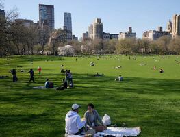 Central Park en Nueva York: ubicación, horario y atracciones