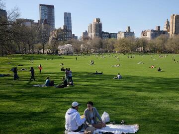 Central Park en Nueva York: ubicación, horario y atracciones