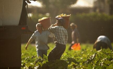 EU multa a agencia de California por retener pagos de campesinos con visa