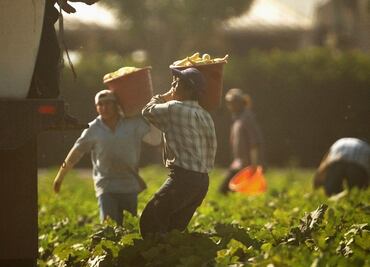Cárcel a contratista que explotó a trabajadores agrícolas mexicanos en EU