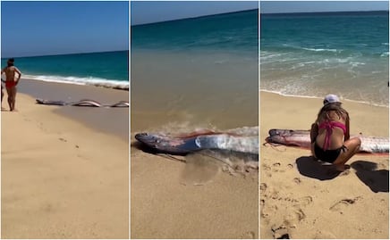 Aparecen dos “peces del Juicio Final” en playas de México y turistas quedan impactados: “Fue surrealista”