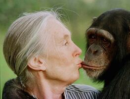 ¿De qué murió Jane Goodall, pionera en el estudio de los chimpancés?
