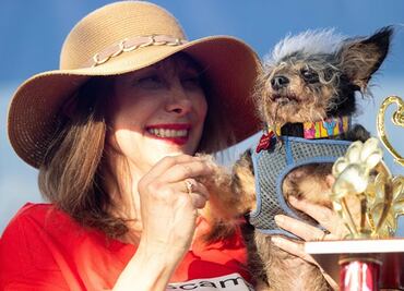 Él es Scamp, el ganador al ‘perro más feo del mundo’