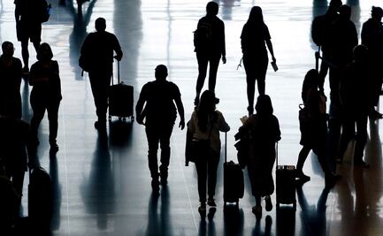 Mujeres intentar ingresar a aeropuerto con más de 100 animales vivos
