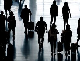 Mujeres intentar ingresar a aeropuerto con más de 100 animales vivos