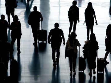 Mujeres intentar ingresar a aeropuerto con más de 100 animales vivos