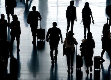 Mujeres intentar ingresar a aeropuerto con más de 100 animales vivos