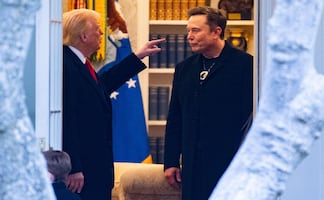 ​Elon Musk llama "imbécil" y "tonto de remate" a asesor comercial de Trump 