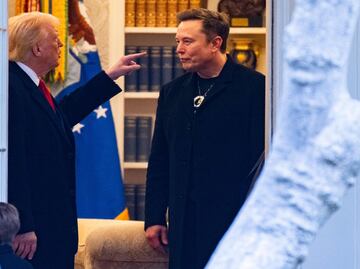 Elon Musk llama "imbécil" y "tonto de remate" a asesor comercial de Trump