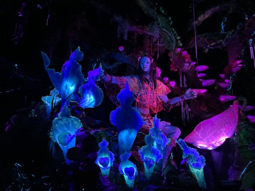 Disney's Animal Kingdom/ Foto: Diana Espinoza