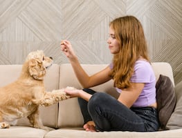 ¿Cuánto gana un entrenador de perros en Estados Unidos? Aquí pagan más