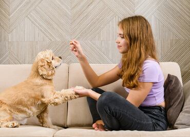 ¿Cuánto gana un entrenador de perros en Estados Unidos? Aquí pagan más