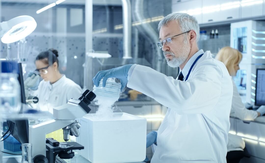 Universidad de Nueva York demanda a empresa por un millón de dólares tras destrucción catastrófica de 20 años de investigación en laboratorio. Foto iStock / 
gorodenkoff