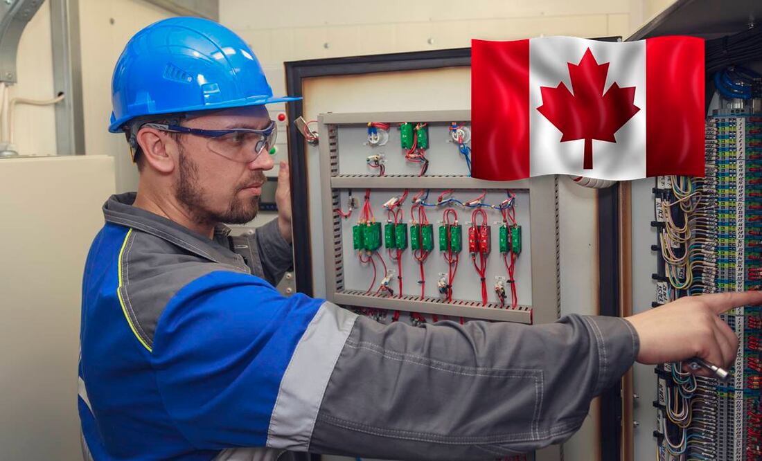 Foto: iStock/Evgenii Mitroshin