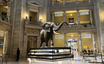 ¿'Una noche en el museo'? Así puedes dormir en uno de los museos más emblemáticos de Estados Unidos