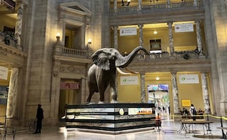 ¿'Una noche en el museo'? Así puedes dormir en uno de los museos más emblemáticos de Estados Unidos