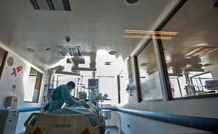 Peste bubónica en Estados Unidos: confirman infección en residente de California tras acampar