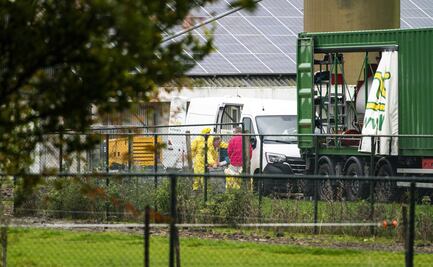 Holanda enfrenta gripe aviar altamente contagiosa