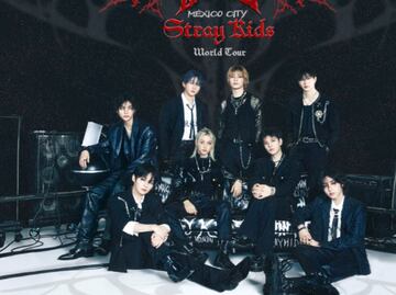 Stray Kids en México. ¿Quiénes son? ¿Una copia de BTS? Precio de los boletos