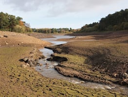 Sequía récord asoló Estados Unidos en 2022 y causó pérdidas multimillonarias