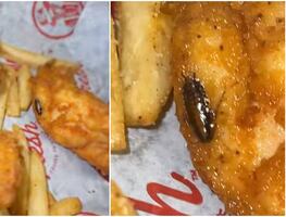 Video. Mujer encuentra cucaracha en pollo de restaurante de Florida