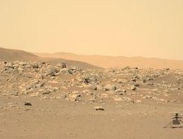 NASA busca voluntarios en EU para simulacros de condiciones en Marte