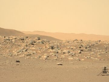 NASA busca voluntarios en EU para simulacros de condiciones en Marte