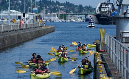 Suman 116 muertos en Oregon por temperaturas de hasta 46° C