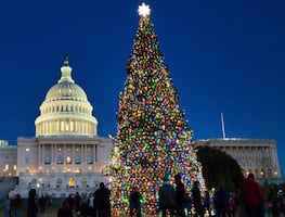 10 actividades de temporada para una Navidad 'mágica' en Washington DC